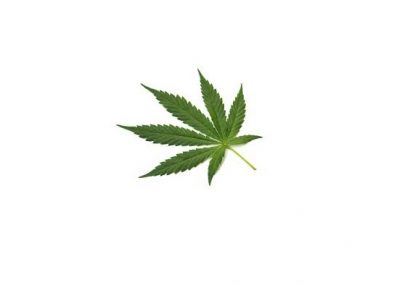 Marijuana-Pardons-1 Marijuana-Pardons-1