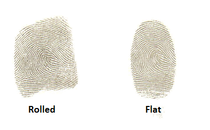 Rolled vs Flat Fingeprint Impression